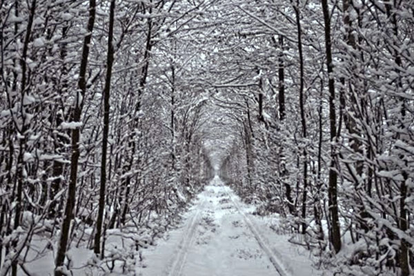 Тоннель любви зимой
